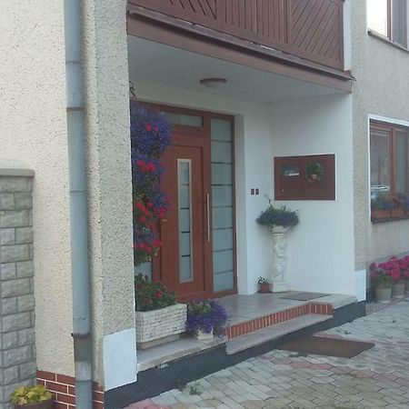 Апартаменты Privat Alfa Грабушице Экстерьер фото